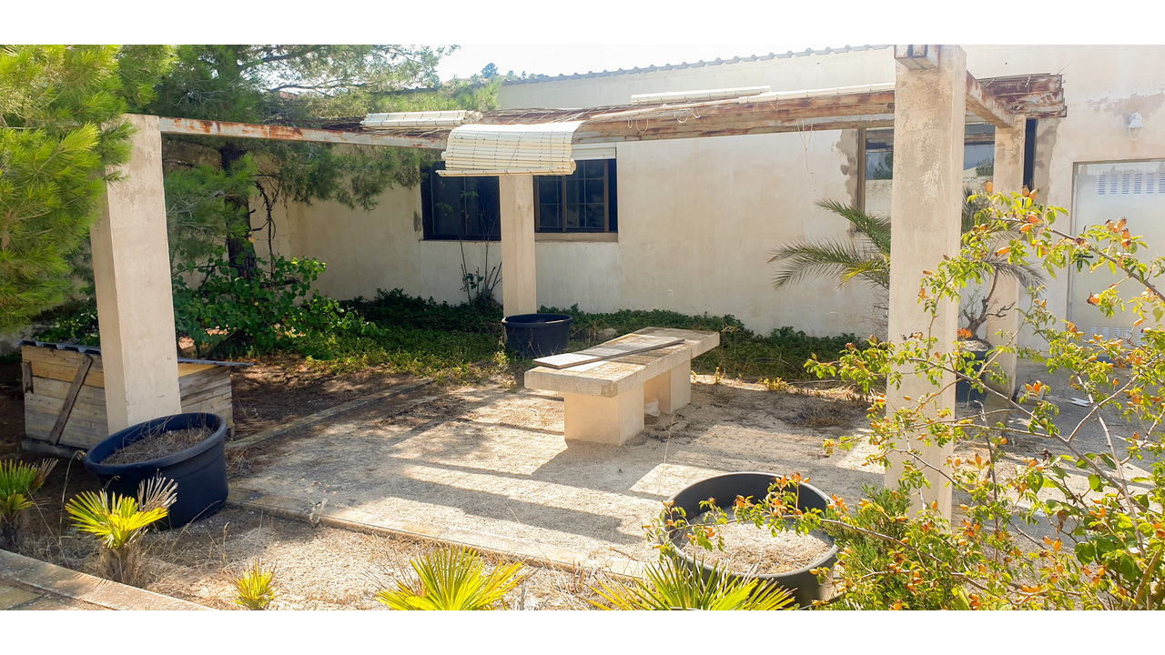 Olive Grove Estates Real Estate Caudete Spanish amazing (4)