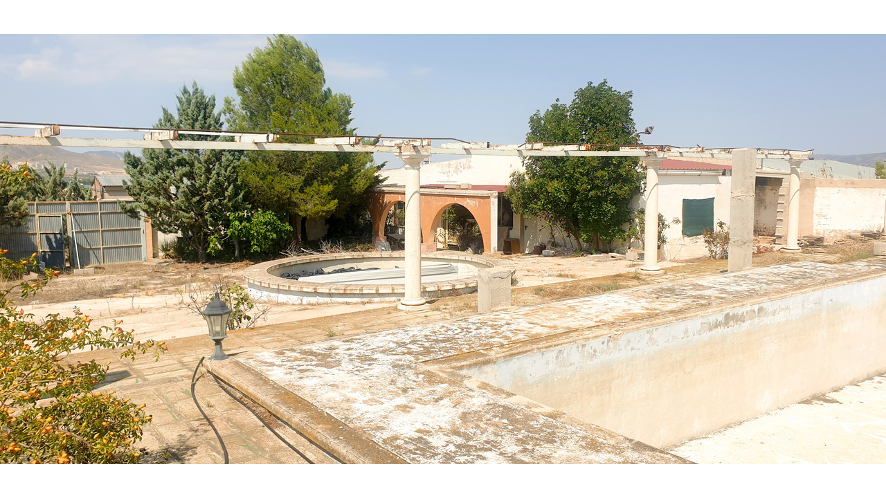 Olive Grove Estates Real Estate Caudete Spanish amazing (6)