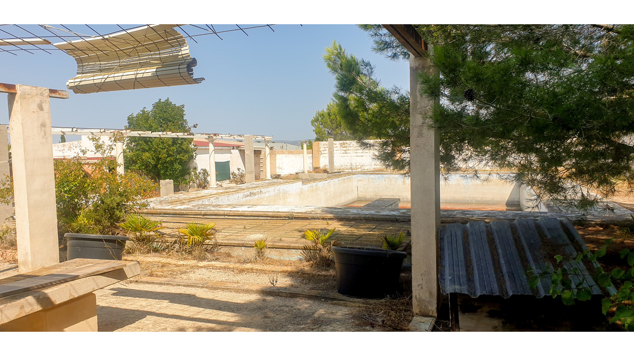 Olive Grove Estates Real Estate Caudete Spanish amazing (8)