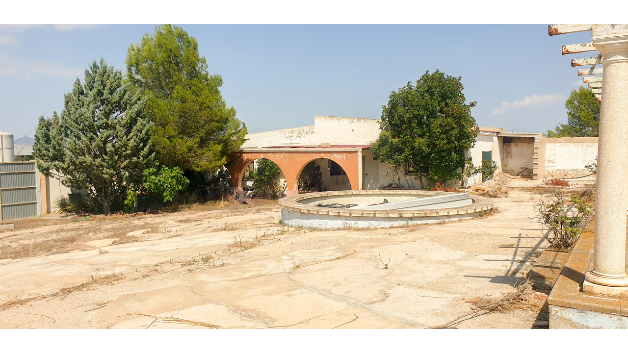 Olive Grove Estates Real Estate Caudete Spanish amazing (10)
