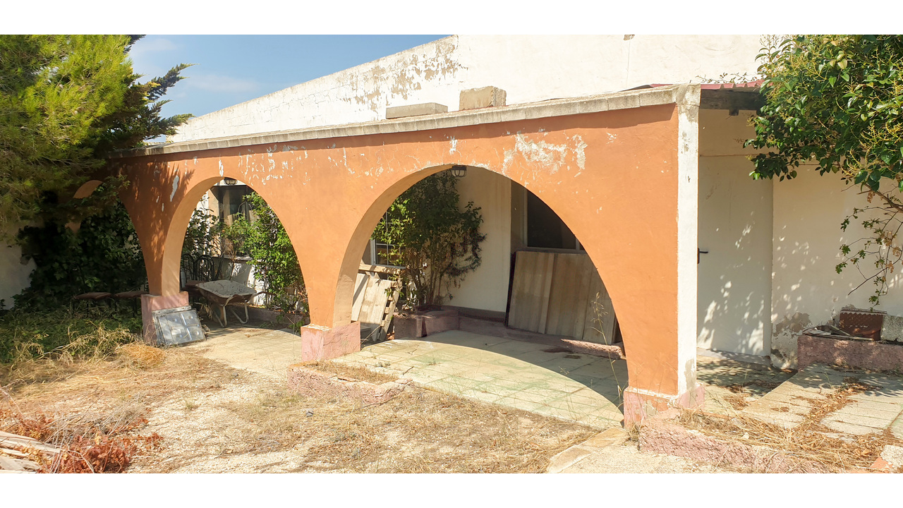 Olive Grove Estates Real Estate Caudete Spanish amazing (14)