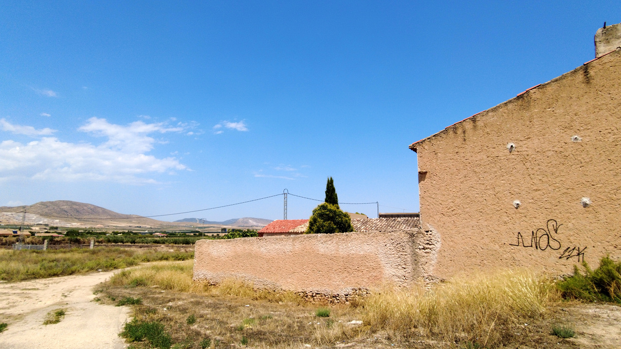 Olive Grove Estates Business Opportunity Spain Buy  (1)