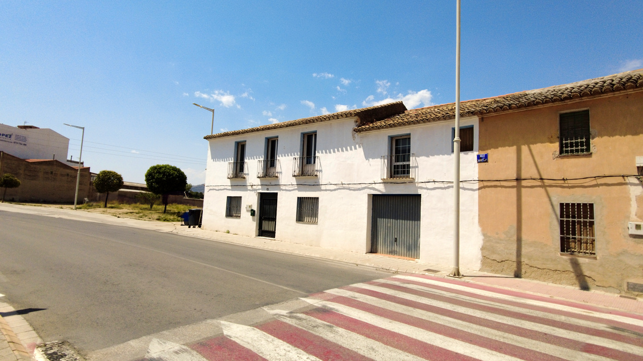 Olive Grove Estates Business Opportunity Spain Buy  (4)
