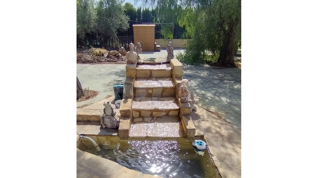 1 Olive Grove Estates Sax House for sale property in spain  alicante (11)