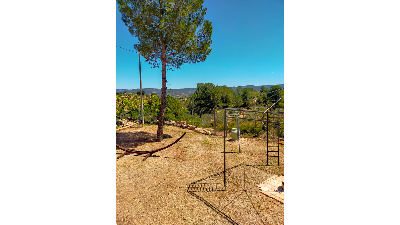 Olive Grove Estates Ayora Valencia Spanish House for sale Off-Grid (32)