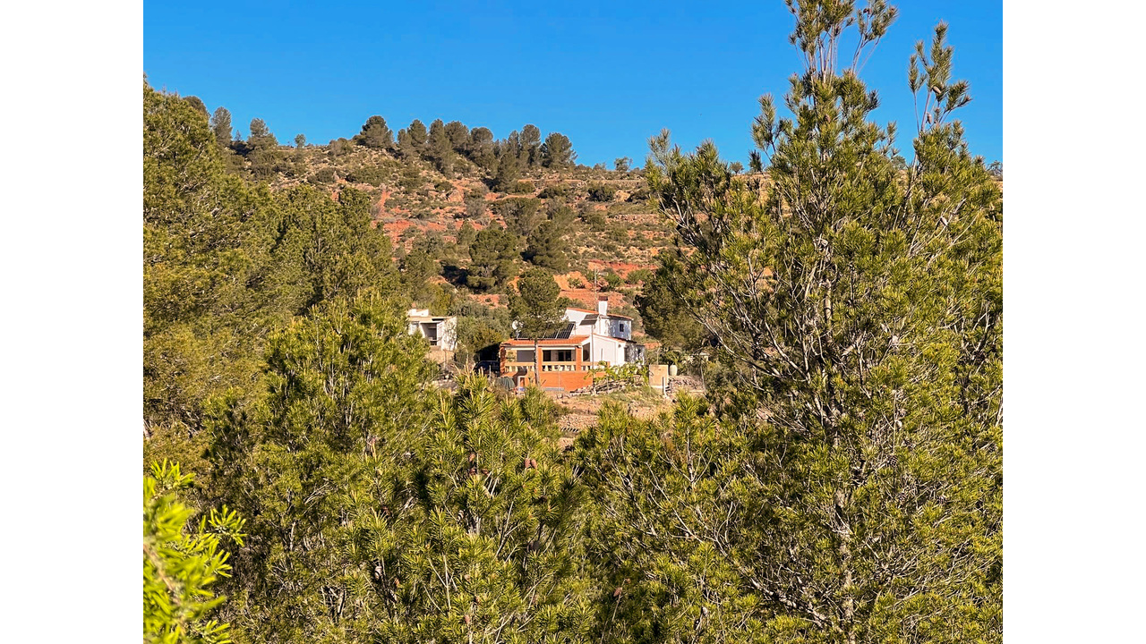 Olive Grove Estates Ayora Valencia Spanish House for sale Off-Grid (45)