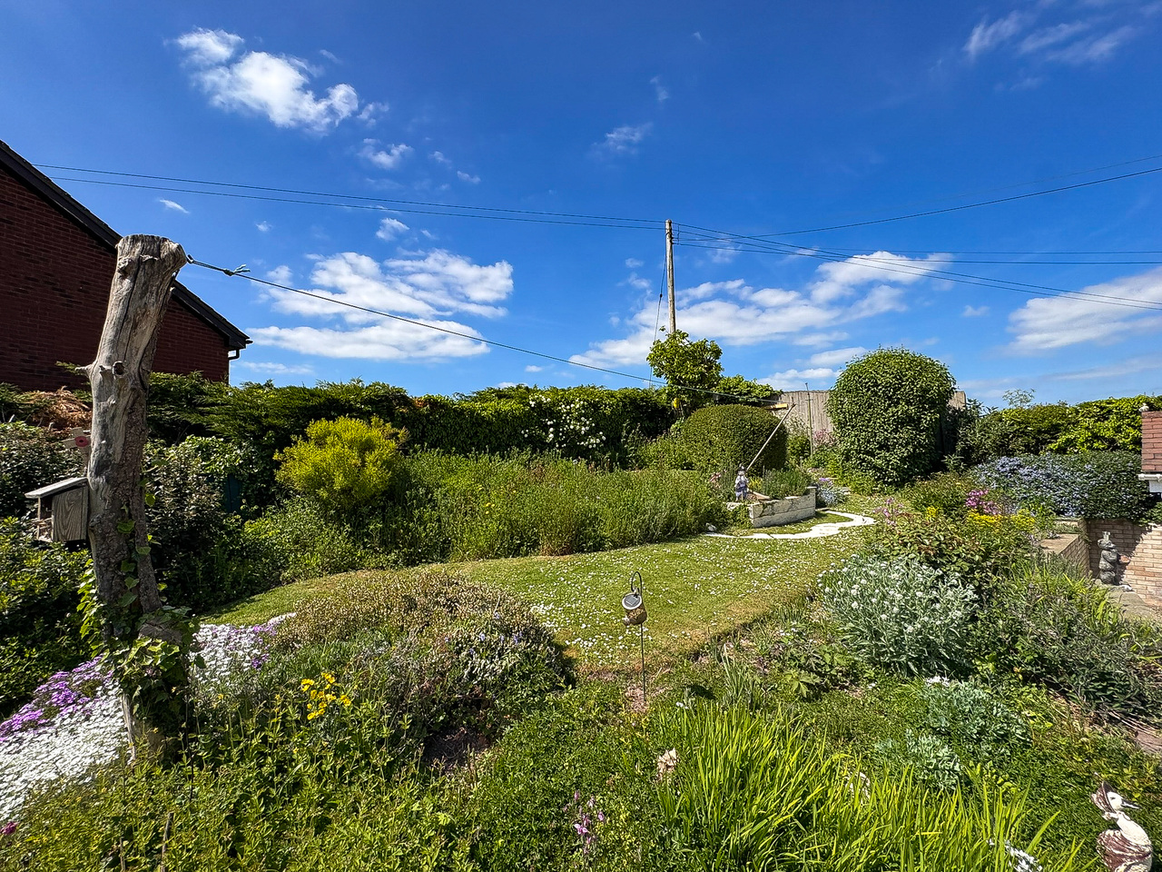 Garden (4)