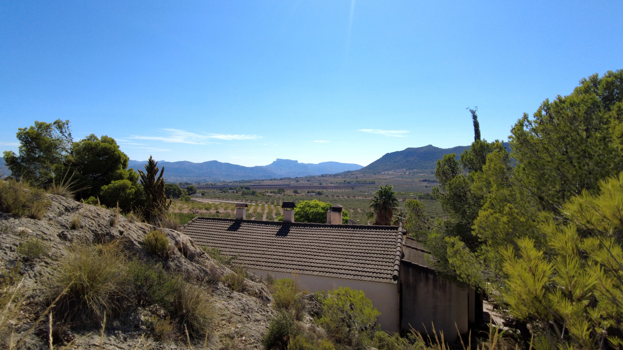 DJI_0084.JPG