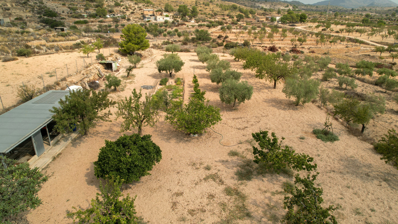 DJI_0924_edited