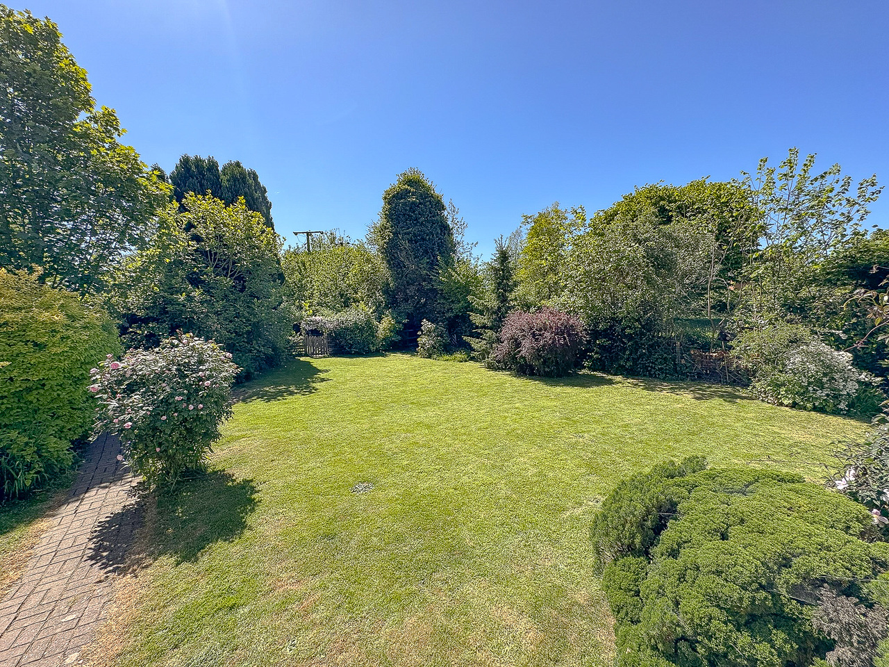 Garden (2)