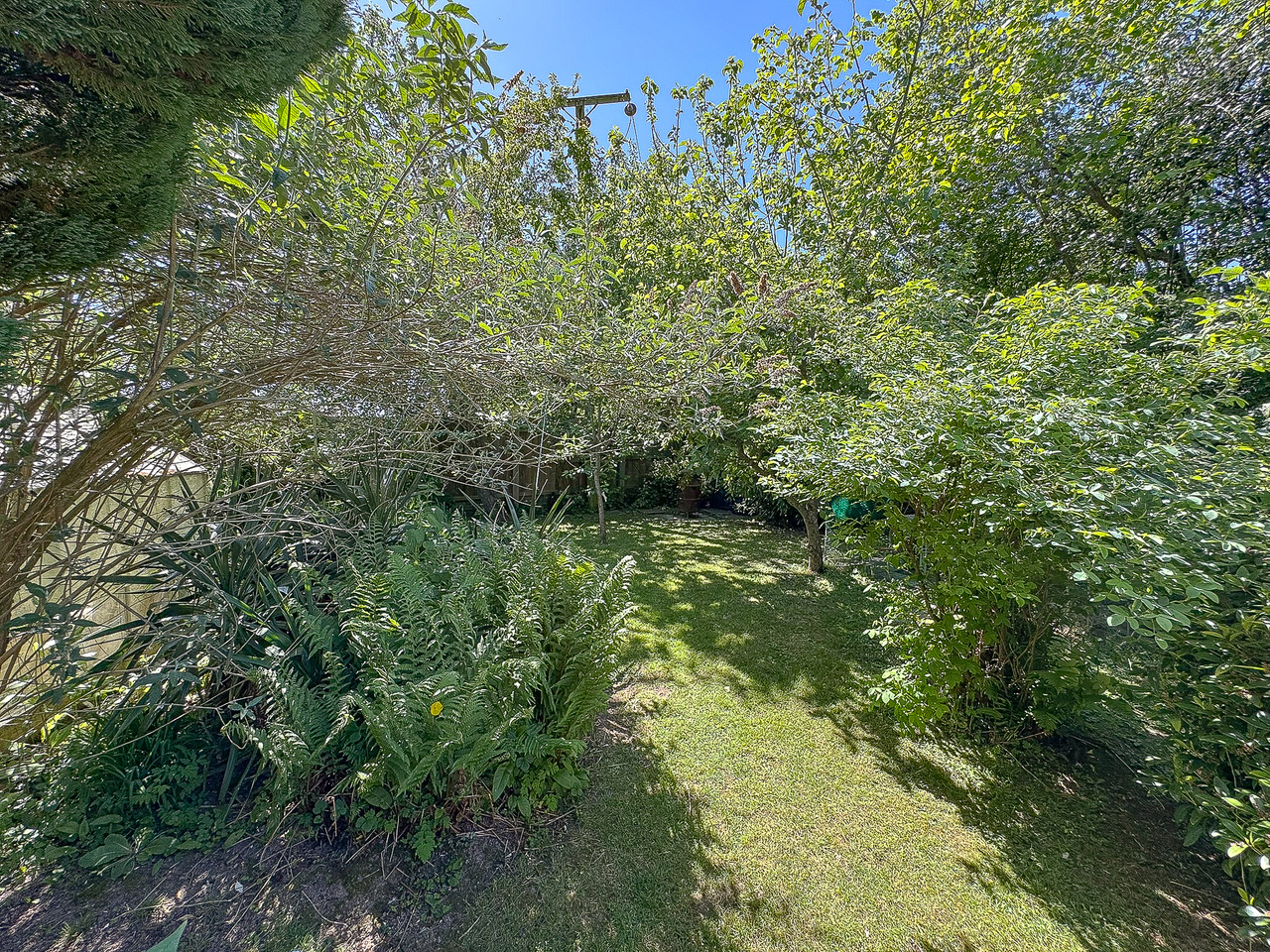 Garden (3)