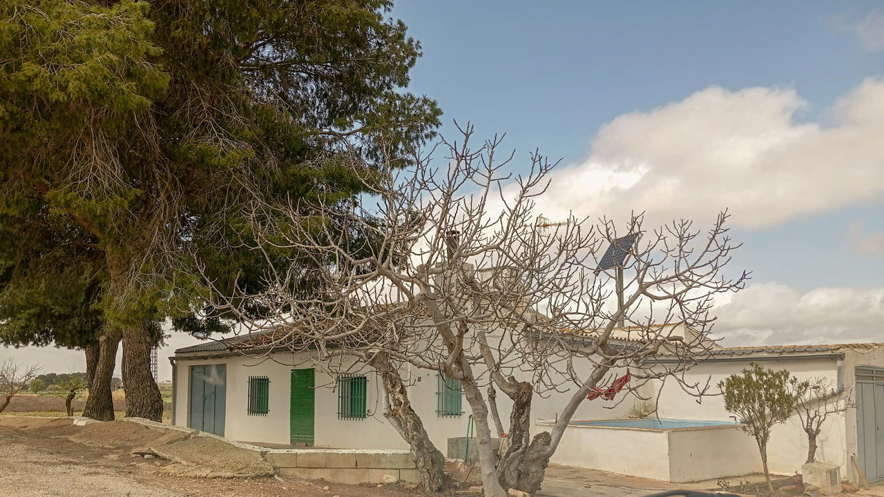 OLive Grove Estates Yecla Murcia Spanish Property Dreams (11)