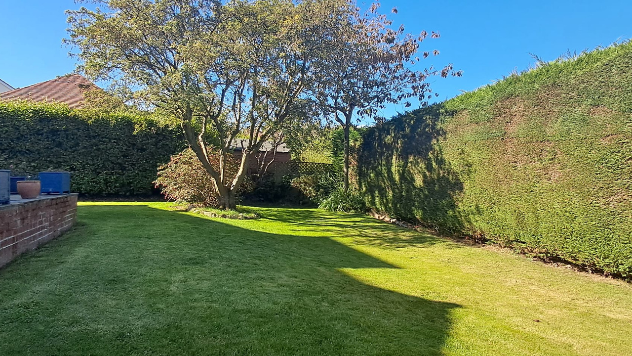 WhatsApp Image 2025-09-25 at 14.54.52.jpeg