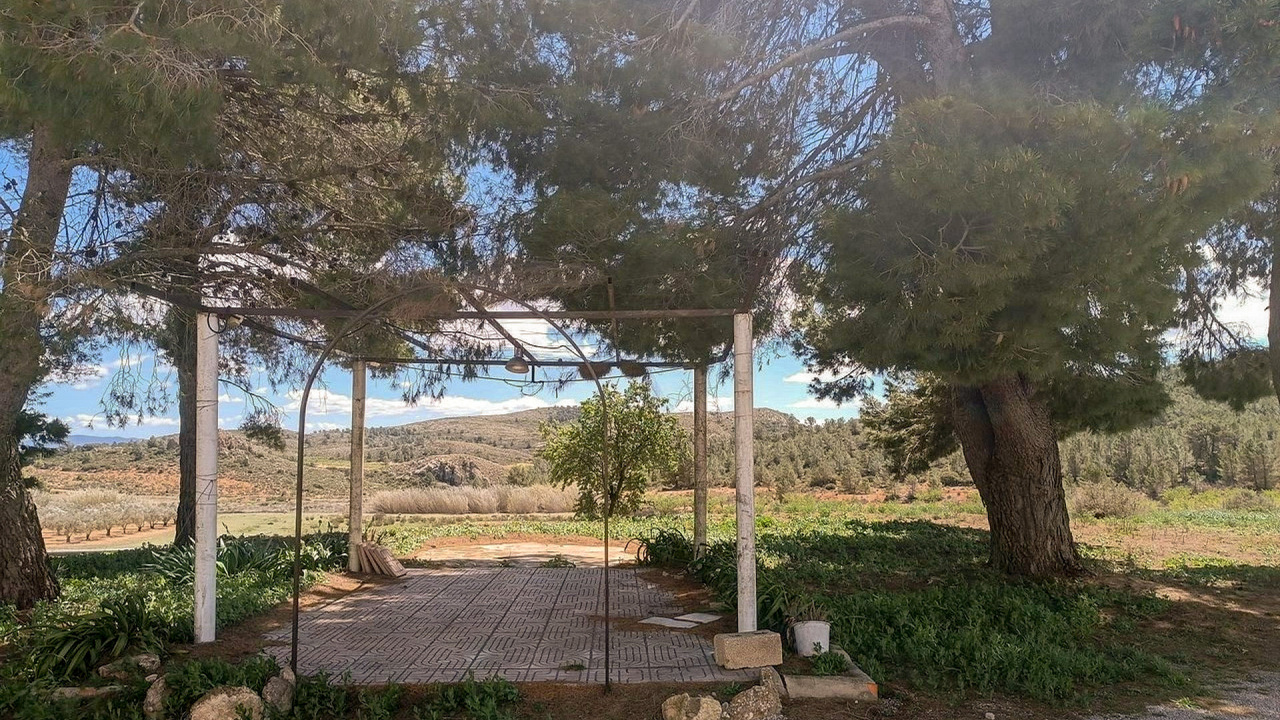 Olive Grove Estates Yecla Farm for sale Spain lots of land (4)