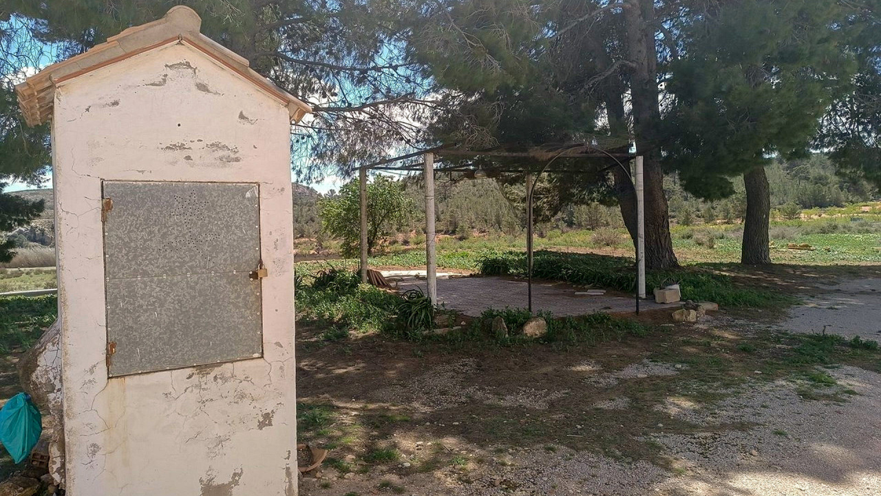 Olive Grove Estates Yecla Farm for sale Spain lots of land (5)