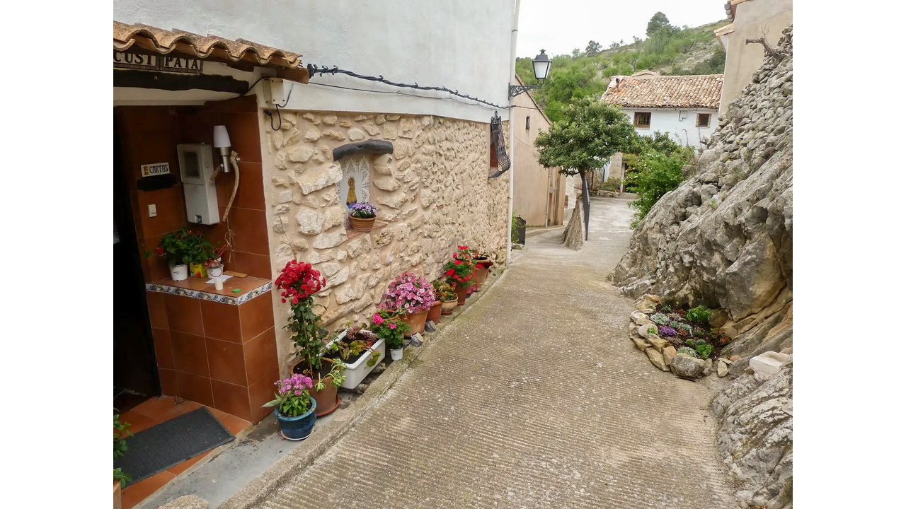 Olive Grove Estates (1)