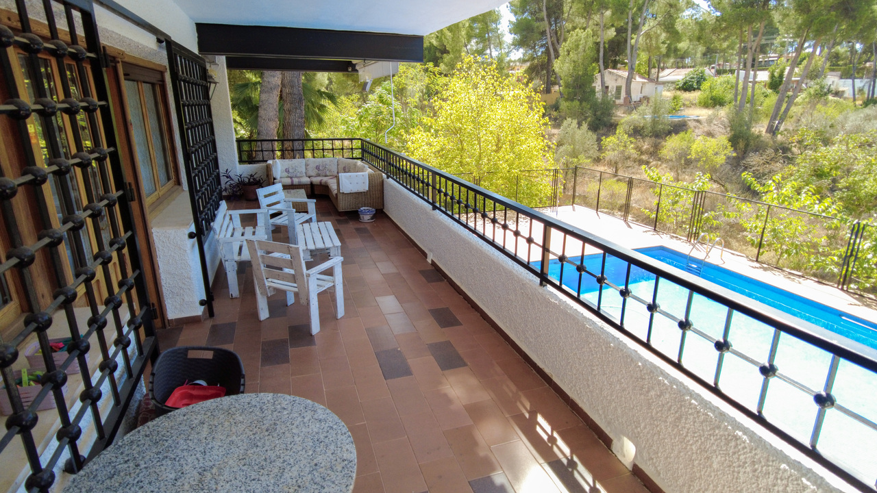 Olive Grove Estates large Villa Almansa Alicante Valencia forest buy a home in Spain (29)