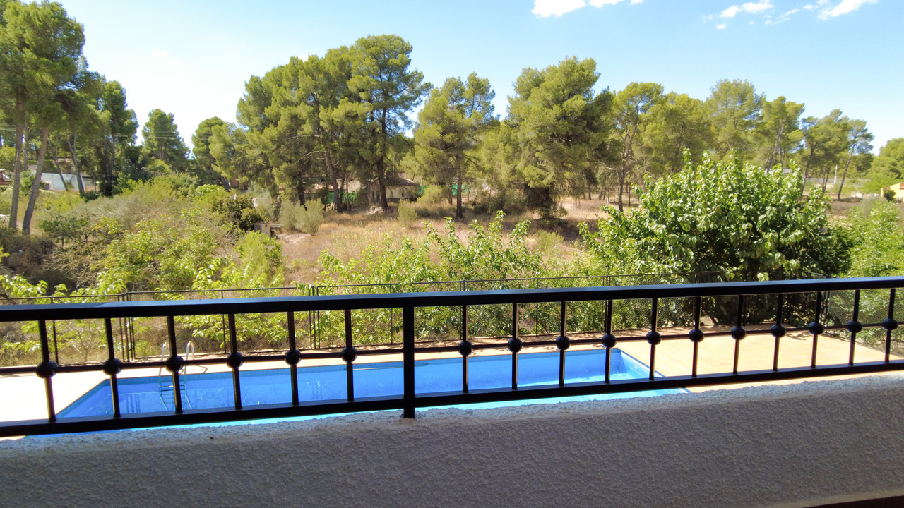 Olive Grove Estates large Villa Almansa Alicante Valencia forest buy a home in Spain (30)