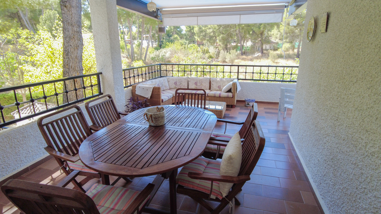 Olive Grove Estates large Villa Almansa Alicante Valencia forest buy a home in Spain (37)