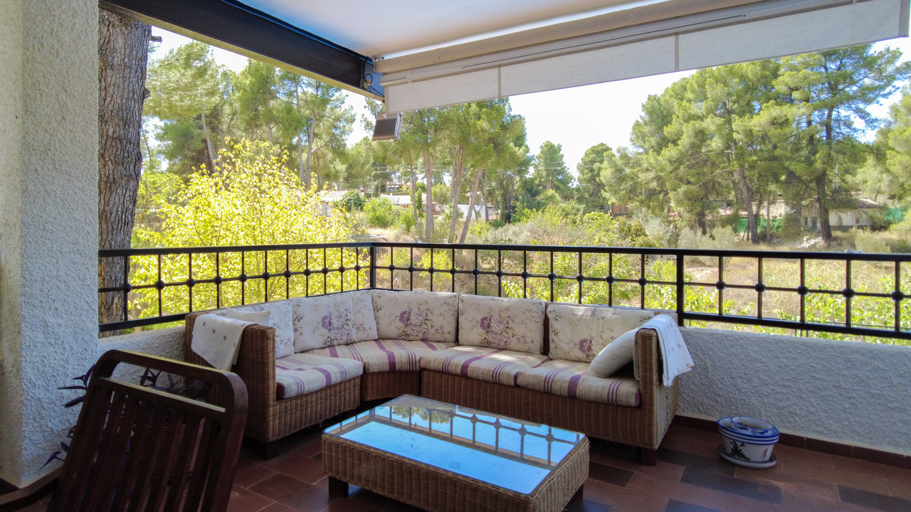 Olive Grove Estates large Villa Almansa Alicante Valencia forest buy a home in Spain (38)