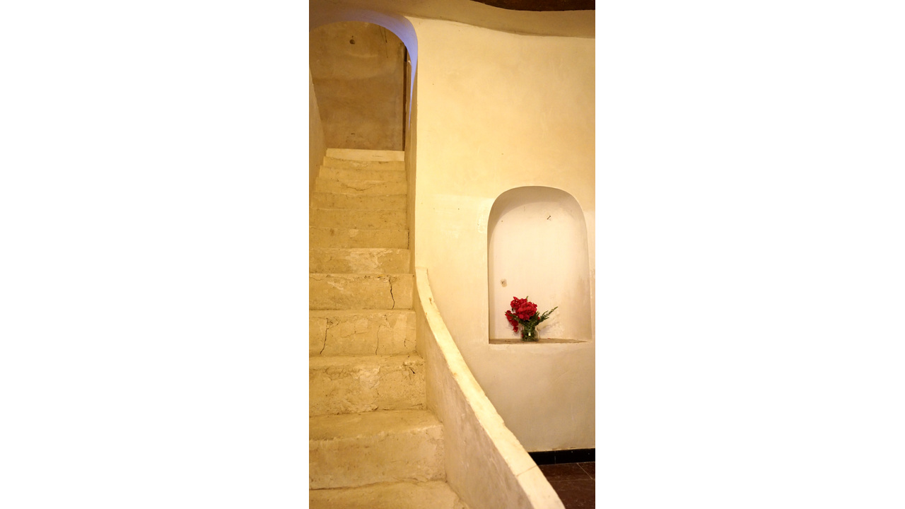 Olive Grove Estates Monovar Alicante Real Inmobiliario Trusted Best Spain (6).JPG