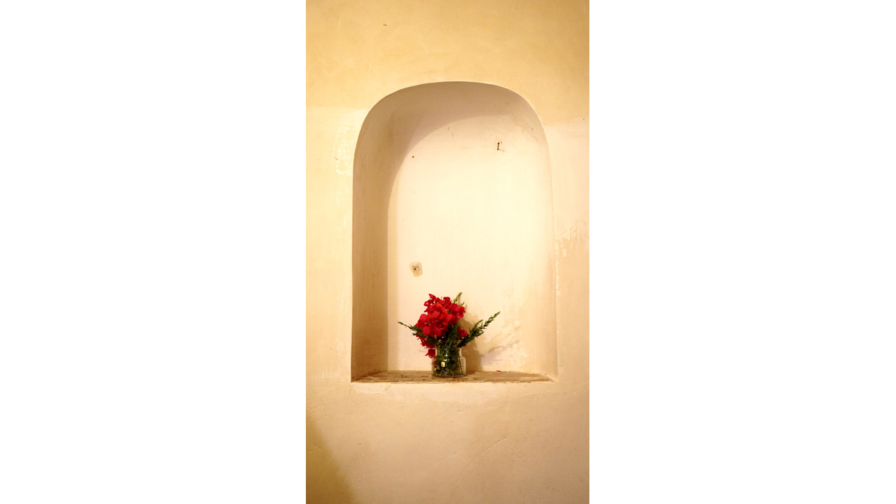 Olive Grove Estates Monovar Alicante Real Inmobiliario Trusted Best Spain (7).JPG