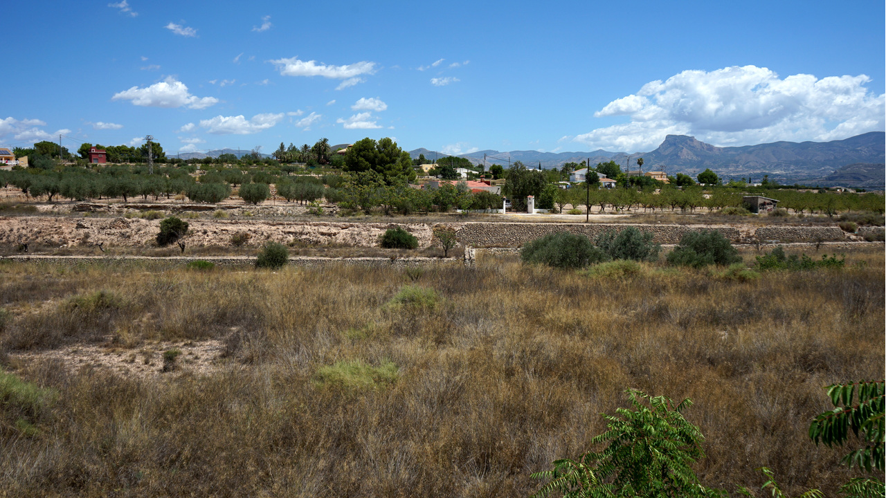 Olive Grove Estates Monovar Alicante Real Inmobiliario Trusted Best Spain (38).JPG