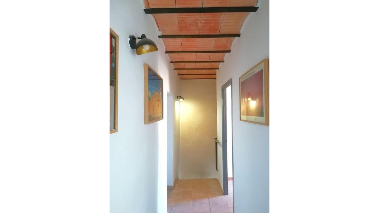 Olive Grove Estates Spsa for sale best real estate agents honest Villena Alicante (22)