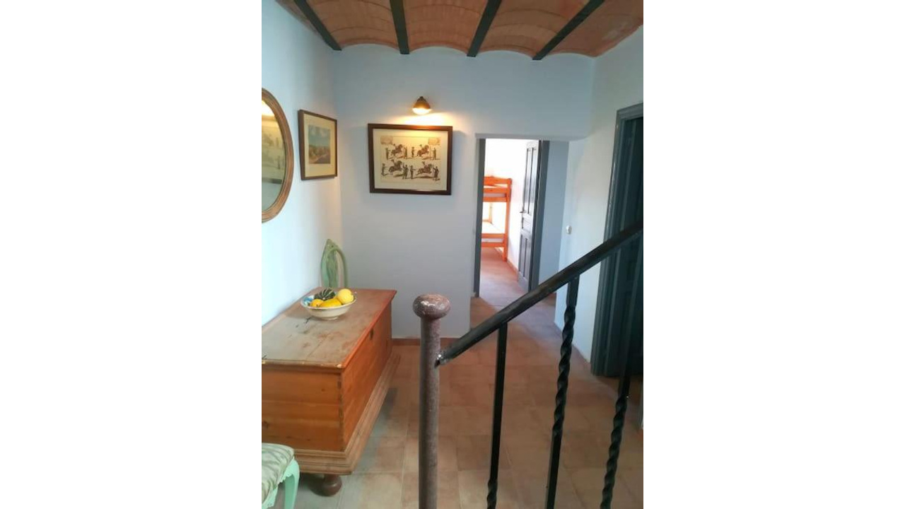 Olive Grove Estates Spsa for sale best real estate agents honest Villena Alicante (24)