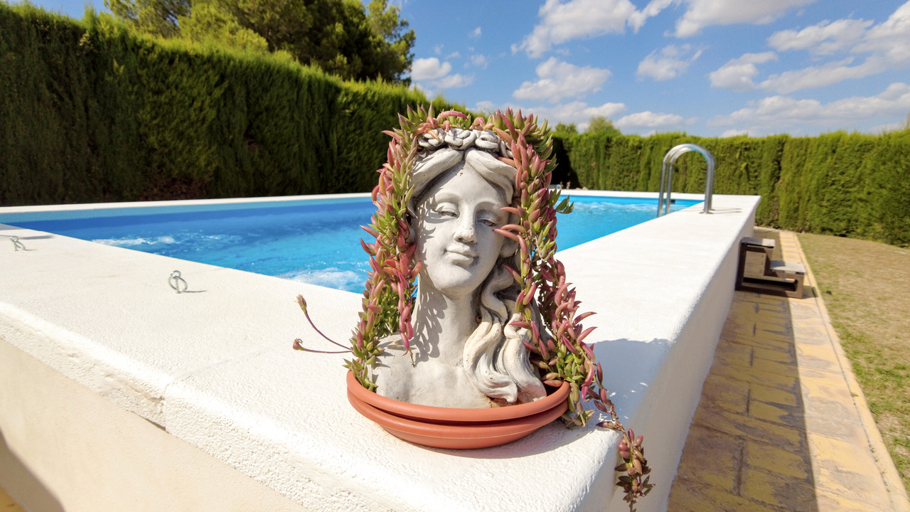 Olive Grove Estates best real estae agents in Alicante Spain bargains (34)