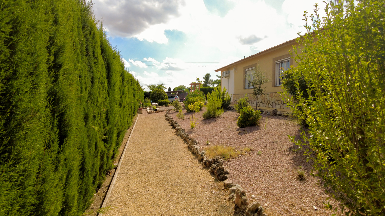 Olive Grove Estates best real estae agents in Alicante Spain bargains (38)