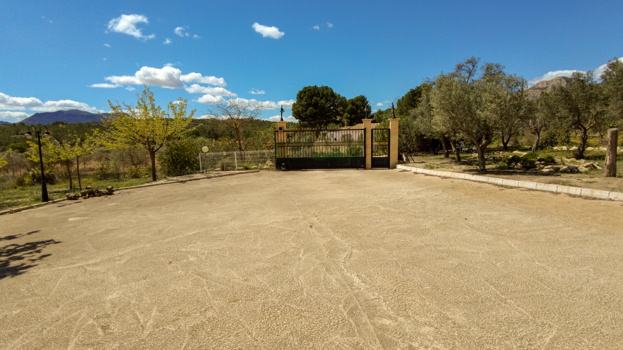 Olive Grove Estates Spanish property realtor agency real Sax Alicante Trusted (24)