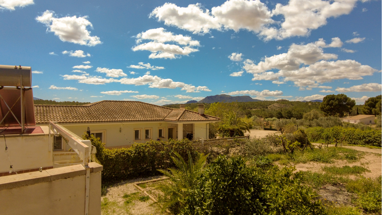 Olive Grove Estates Spanish property realtor agency real Sax Alicante Trusted (43)