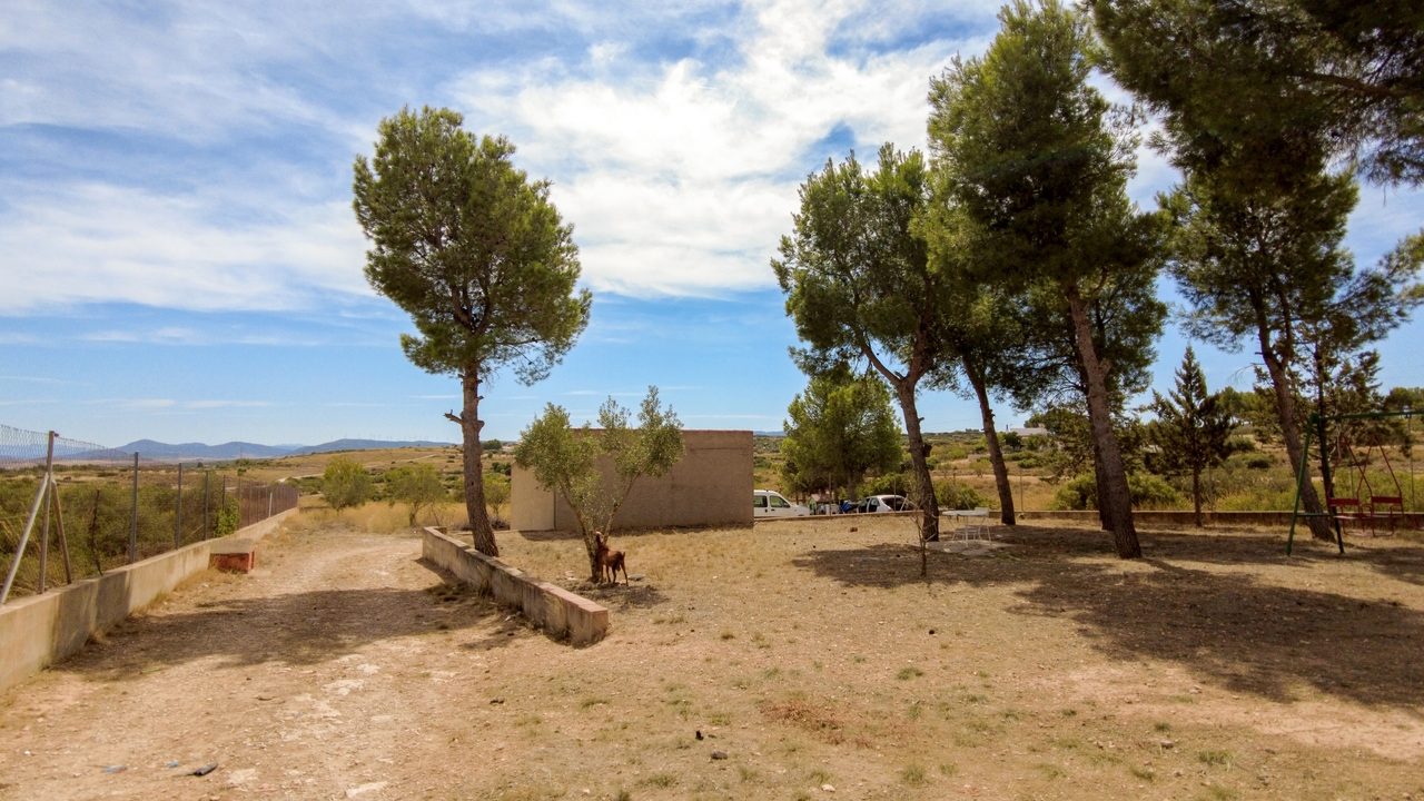 Olive Grove Estates Almansa Villa Country House for sale bargain spanish property (7)