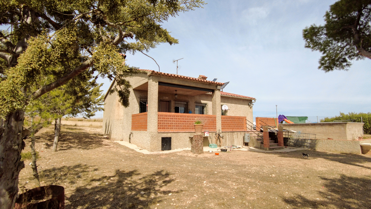 Olive Grove Estates Almansa Villa Country House for sale bargain spanish property (9)