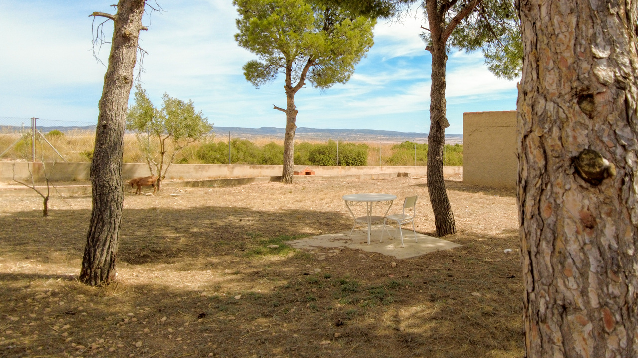 Olive Grove Estates Almansa Villa Country House for sale bargain spanish property (10)