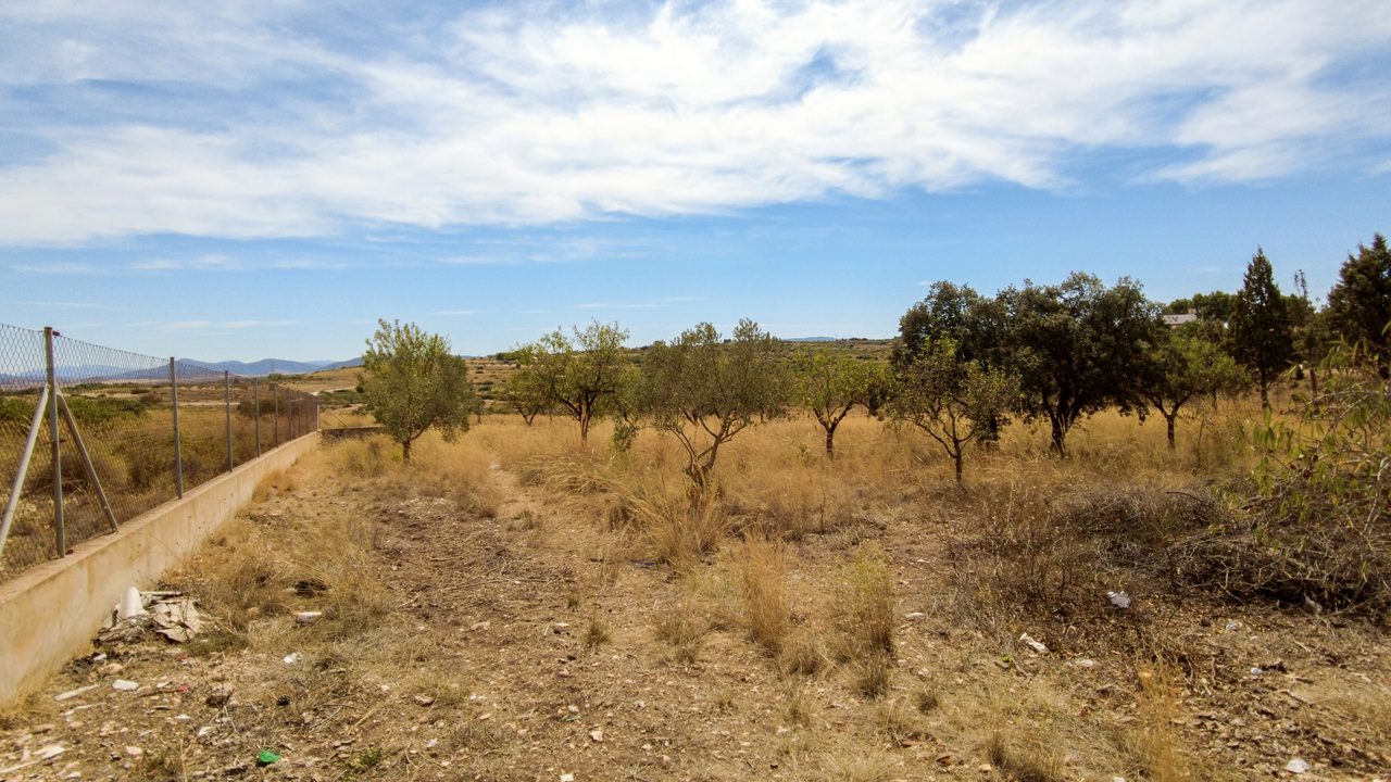 Olive Grove Estates Almansa Villa Country House for sale bargain spanish property (12)