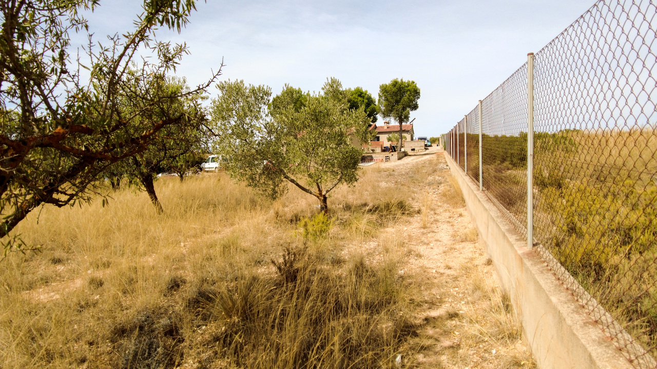 Olive Grove Estates Almansa Villa Country House for sale bargain spanish property (13)